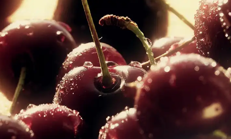 Cherry Eclipse