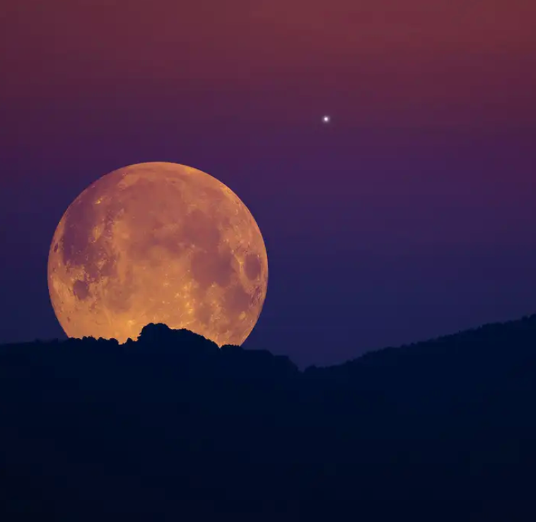 Harvest Moon