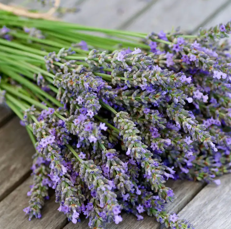 Lavender