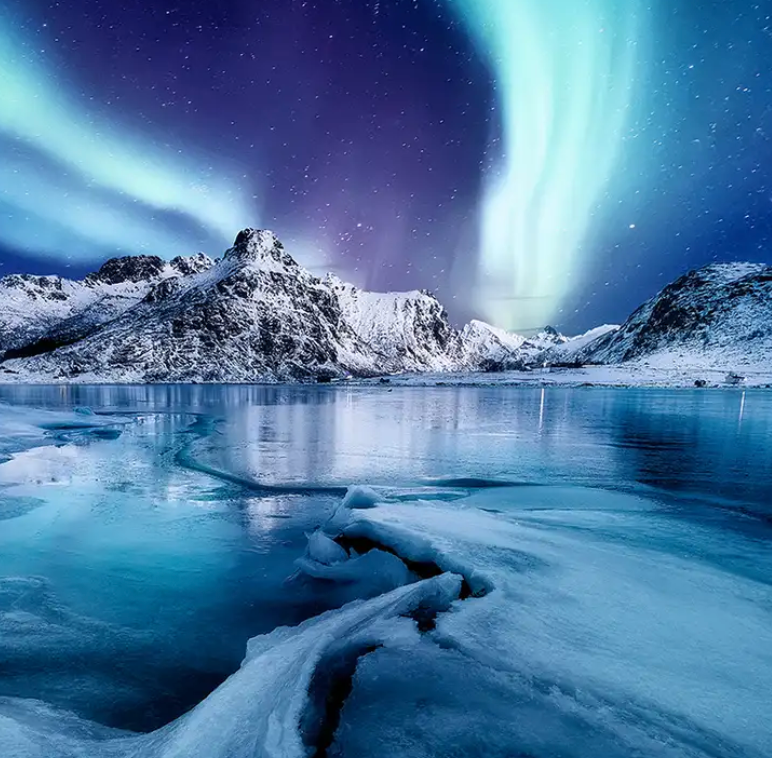 Nordic Night