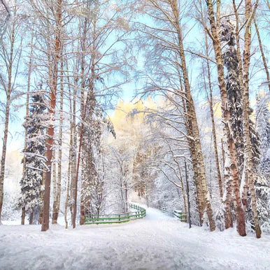 Winter Solstice
