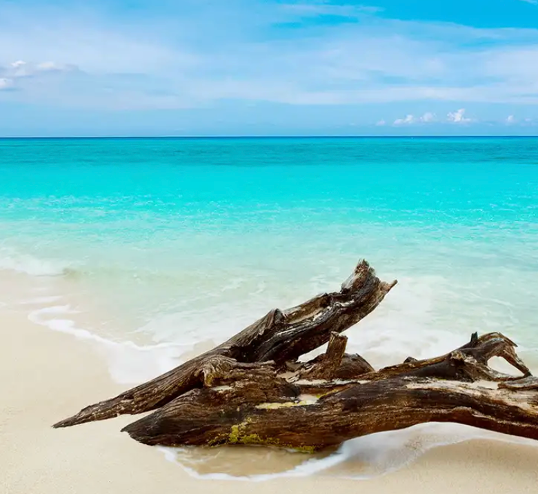Caribbean Teakwood