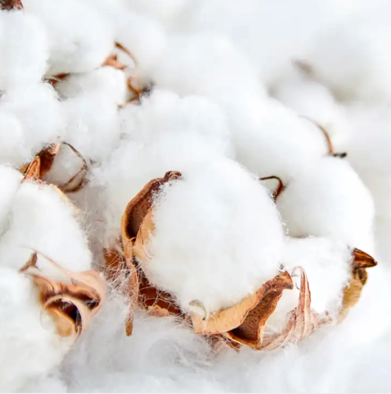 Clean Cotton