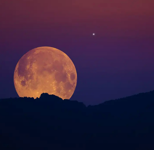 Harvest Moon