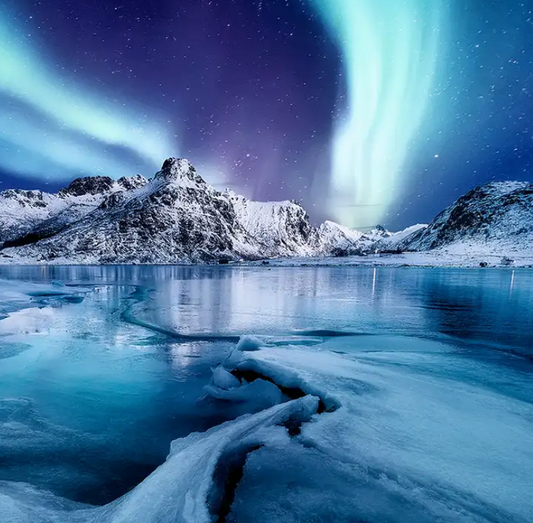 Nordic Night